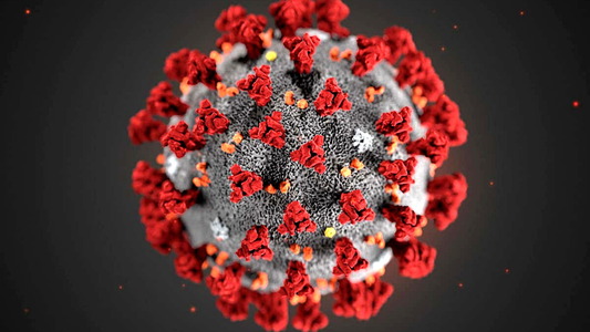 Covid 19 virus