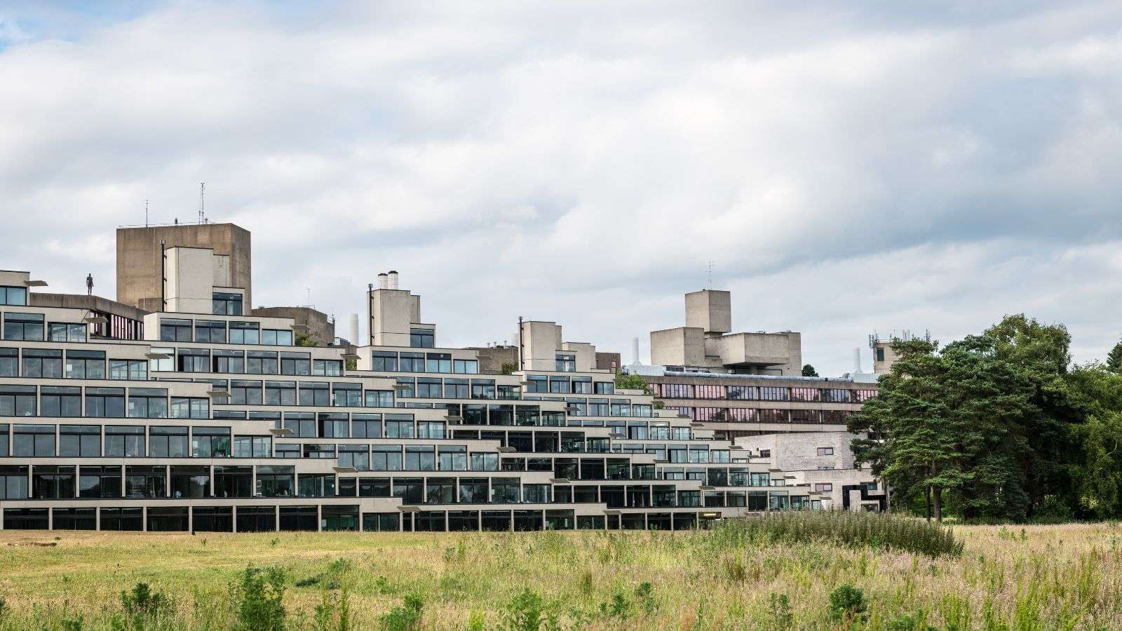 Ziggurats at the UEA