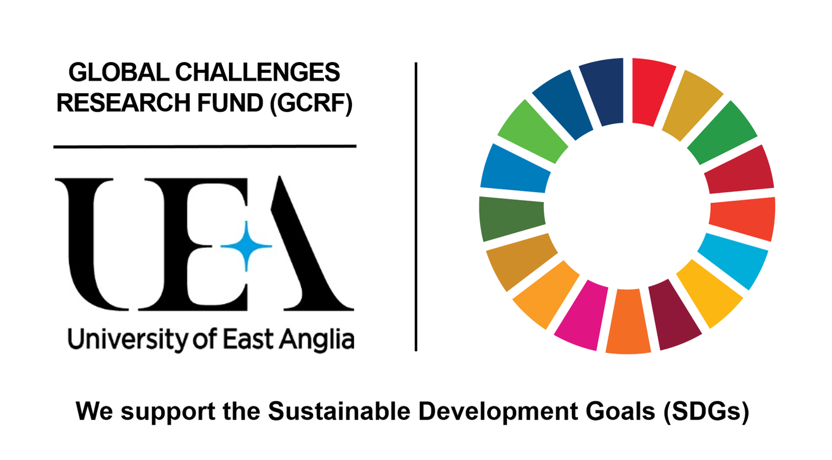 SDG-SMALL