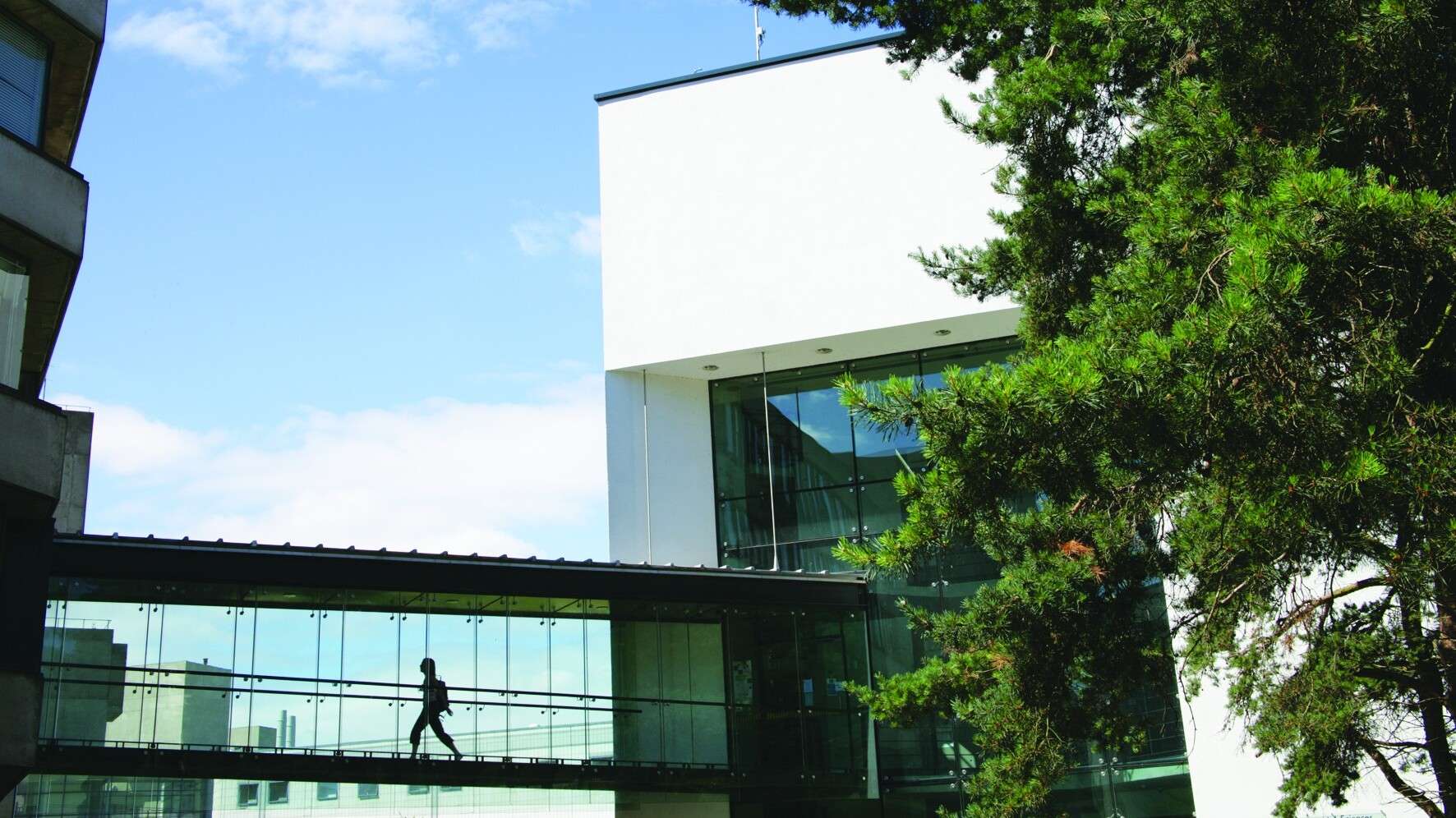 ZICER building with glass bridge