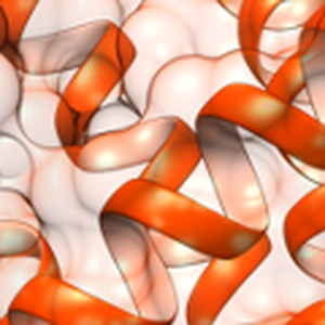 Mitochondrial Uncoupling Protein