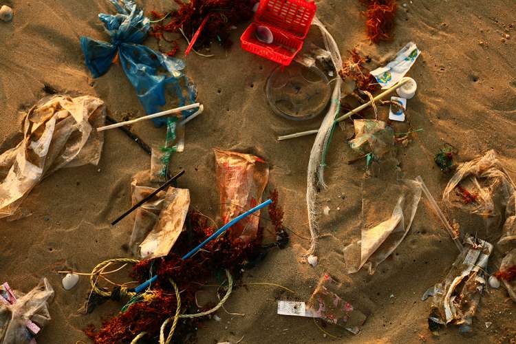 close-up-photo-of-plastic-rubbish-on-beach