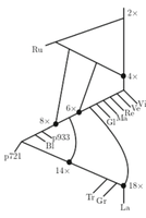Phylogenetics image icon