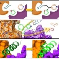 Diagram of Protein-Protein Interactions