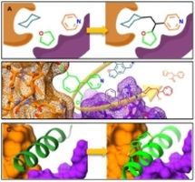 Diagram of Protein-Protein Interactions