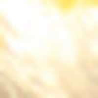 Specsel bird image logo