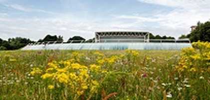 UEA campus