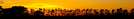 Norfolk Skyline