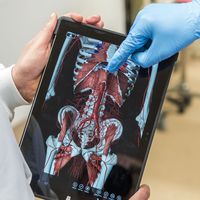 Anatomy UEA-071_Steve Wright Photography Limited.jpg