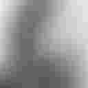 Loading image...