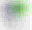 Loading image...