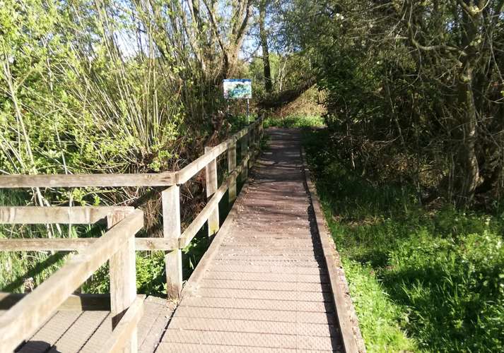 Boardwalk by UEA lake