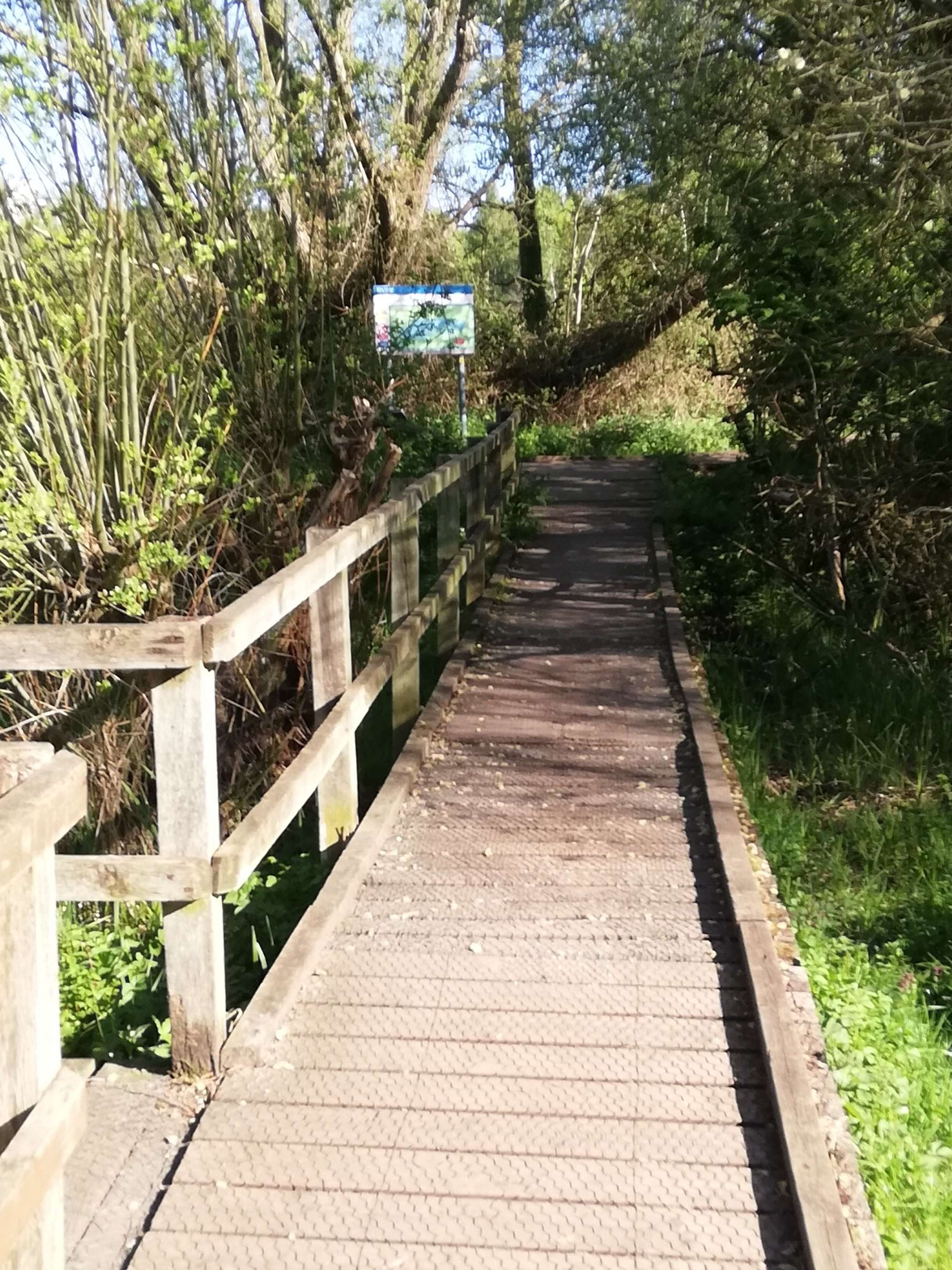 Boardwalk by UEA lake