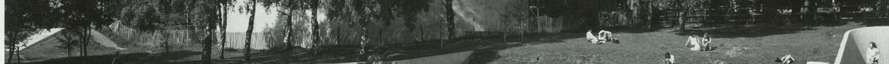 Historical Archive - The Square