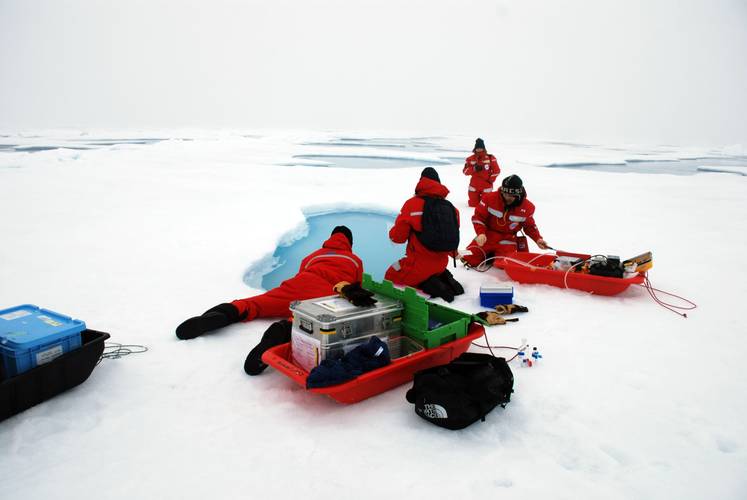 Close-up of scientists working on the sea ice