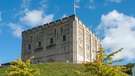 Norwich Castle