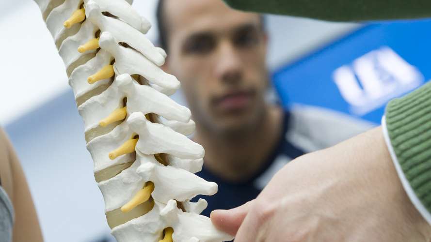 Students looking at model of spine