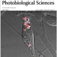 Photochemical Photobiological Sciences front cover