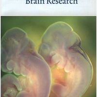 Brain Research front cover
