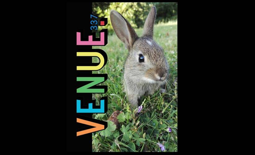 Venue student magazine pull-out