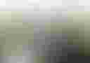 Loading image...