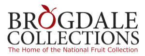 brogdale-logo.jpg