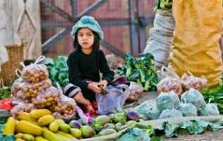 child-at-morning-vegetable-market_small.jpg