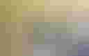 Loading image...
