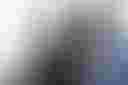 Loading image...