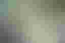 Loading image...