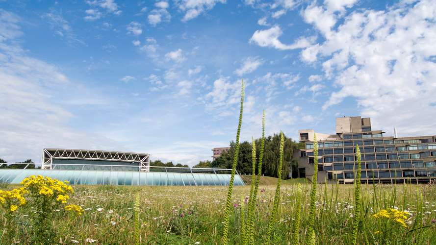 Campus - Sainsbury Centre