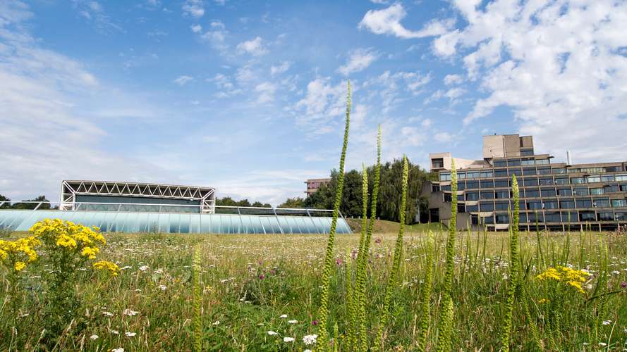 UEA Campus - Sainsbury Centre