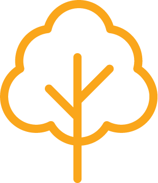 Tree1-4236ff032014f2e107e388968bcb2588-37fc0fpng