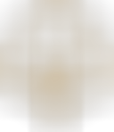 Loading Tree1-4236ff032014f2e107e388968bcb2588-37fc0fpng...
