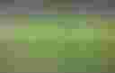 Loading Vital-Resources_small...
