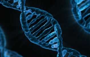 activating-genetic-switches-dna_small.jpg
