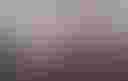Loading avian-flu-pandemic-feather_small (1)...