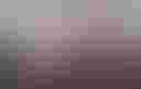 Loading avian-flu-pandemic-feather_small (1)...