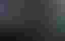 Loading image...