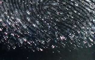 indelible-truth-fingerprint_small.jpg