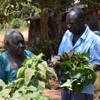 Older people looking at plants in a rural African community_small