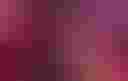 Loading image...
