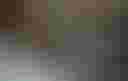 Loading image...