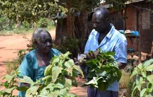 Older people looking at plants in a rural African community