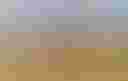 Loading Picture of crops on a field...