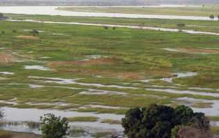 Survey along the Niger River