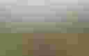 Loading image...