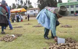 Picture of potato farmers in South America