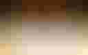 Loading Spirits of Clay icon...