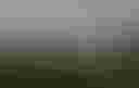 Loading image...